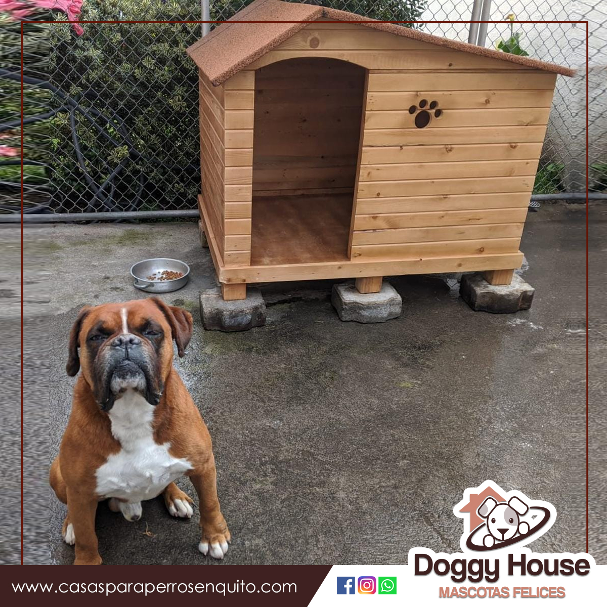 Buscas una casita para tu perro? - Casas para perros Quito